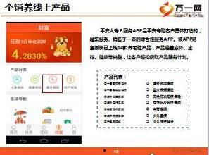 国产51页,揭秘中国科技发展的新篇章